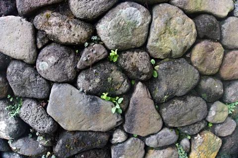 The Rocky Stock Photos