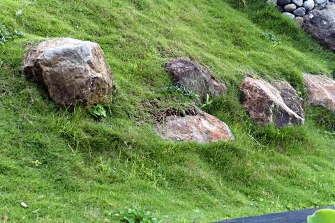 The Rocky Stock Photos