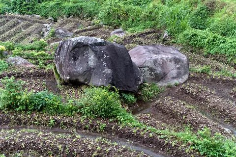 The Rocky Stock Photos