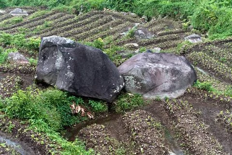 The Rocky Stock Photos
