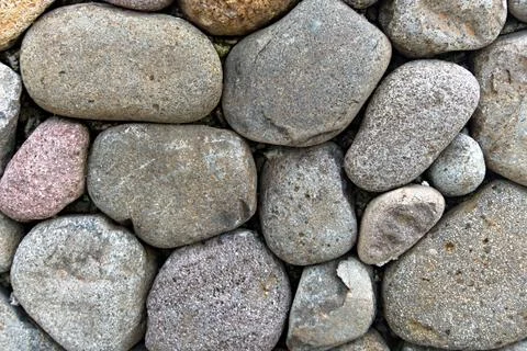 The Rocky Stock Photos