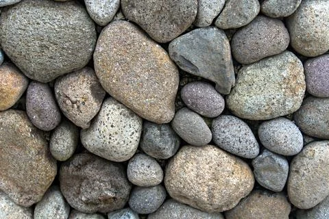 The Rocky Stock Photos