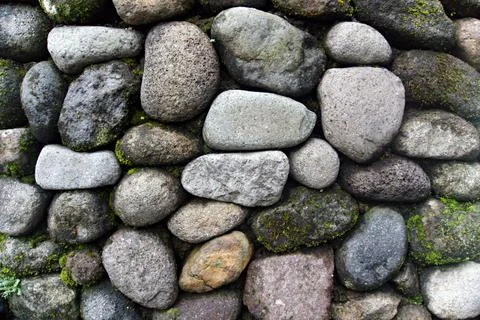 The Rocky Stock Photos