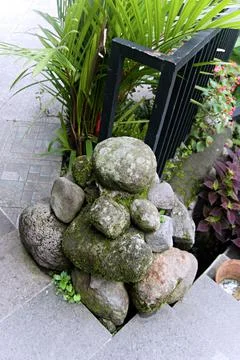 The Rocky Stock Photos