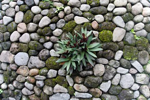 The Rocky Stock Photos