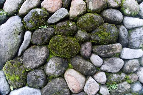 The Rocky Stock Photos