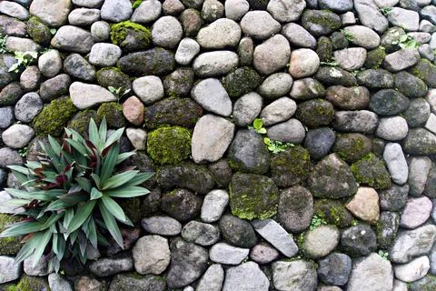 The Rocky Stock Photos