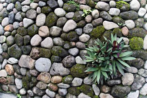 The Rocky Stock Photos