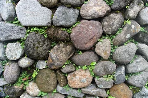 The Rocky Stock Photos