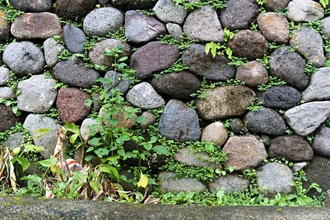 The Rocky Stock Photos