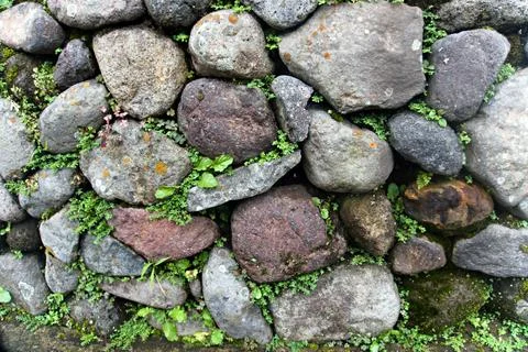 The Rocky Foto stock