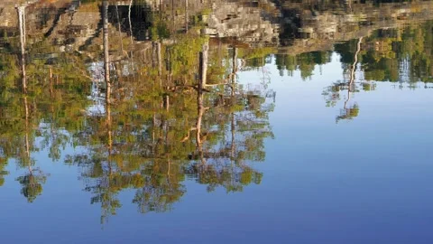 Rocky pine forest reflecting from slowly waving water surface Stock Footage 265608604