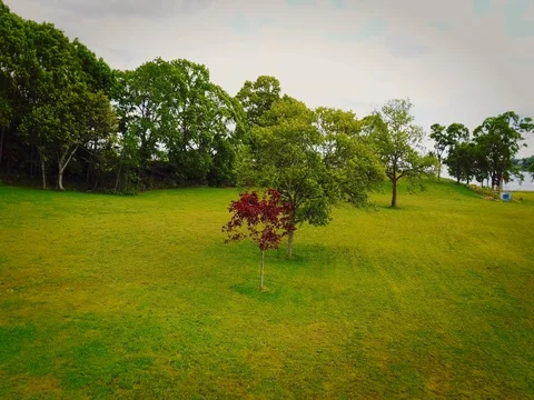 Rocky Point State Park Видео 76277887