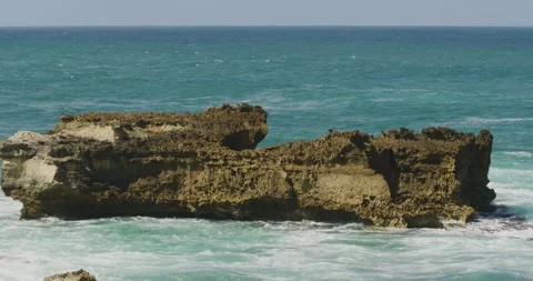 Rocky Reef In Ocean, Close Up Video stock 330466617