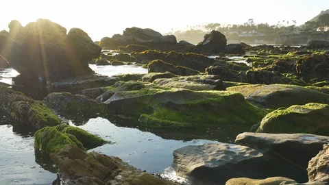 The Rocky Riffs at Low Tide During Sunset Stock Footage 113724058