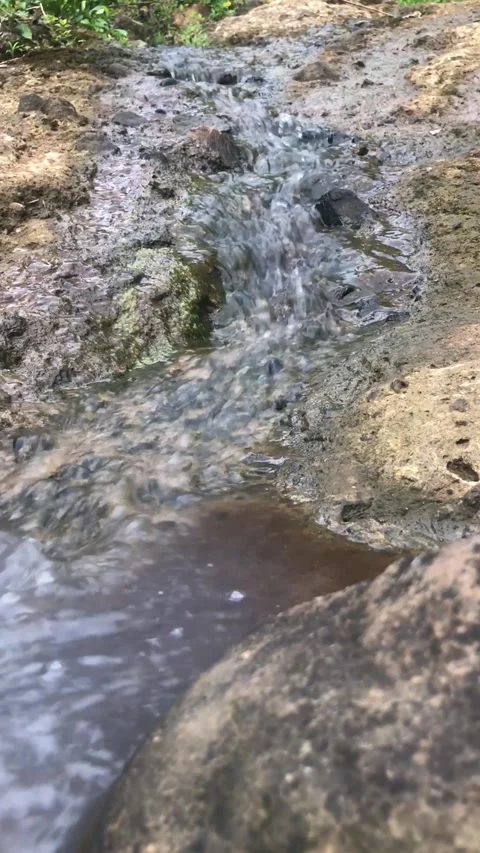 Rocky rill running downhill into a muddy pool after rainfall. Stock Footage 326015612