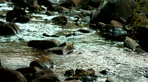 Rocky River Close Up Stock Footage 53232734