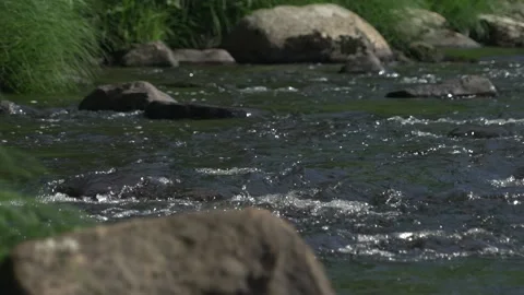 Rocky river close Stock Footage 171341851