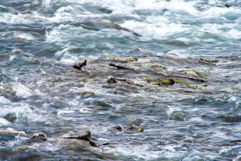 Rocky river with fast current. Stock Photos