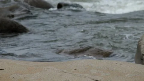 Rocky river flow with clear water in the mountains Video stock 297653515
