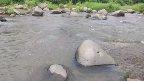 Rocky river flow in the mountains Stock Footage 267863188