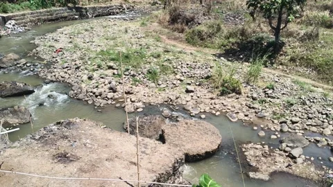 Rocky river flow in rural landscape Stock Footage 346659216