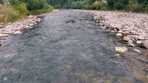 Rocky River Flowing Through Forest, A serene river flows steadily over smooth Stock Footage 290781661