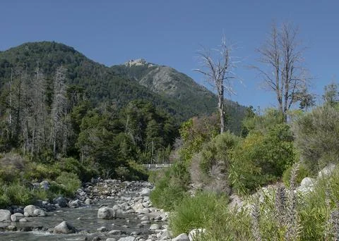 Rocky river that flows into a nahuel huapi lake, rio negro province, argentin Stock-Fotos