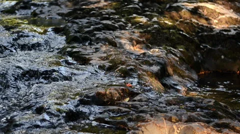 Rocky River Stock Footage 32216769