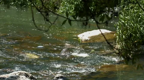 Rocky River Stock Footage 53232740