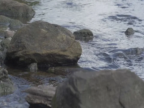 Rocky River Stock Footage 80209280