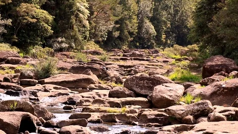 Rocky River Stock Footage 124622634