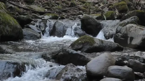 ROCKY RIVER Video stock 231230690