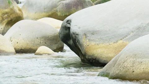 Rocky river Stock Footage 270038921