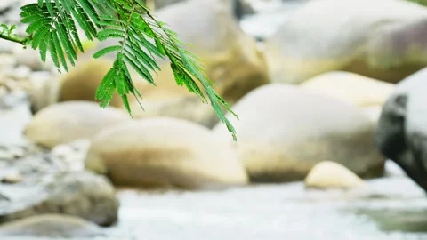 Rocky river Stock Footage 270038954