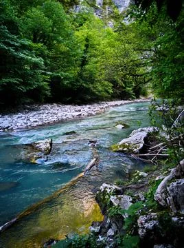 Rocky river in the forest Stock Photos