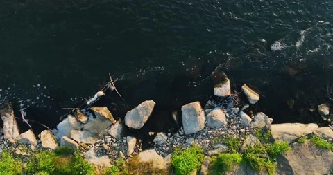 A rocky river in the middle of a forest in 4K. Aerial view of tranquil river  Video stock 198020331