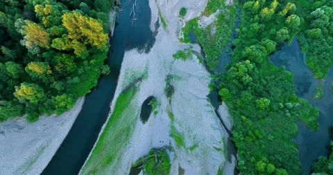 A rocky river in the middle of a forest in 4K. Aerial view of tranquil river  Stock Footage 198029225