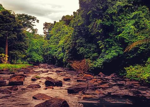 Rocky river in the middle of the forest Stock Photos