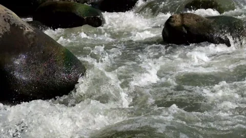 Rocky river in the mountains Stock Footage 280391210