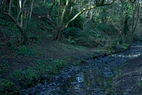 Rocky River Stock Photos