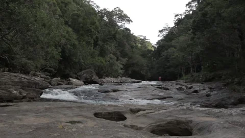 Rocky River rainforest 2 Stock Footage 169082544