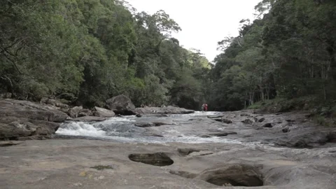 Rocky River rainforest 스톡 동영상 169082521