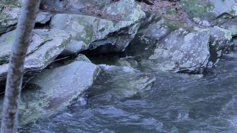 Rocky River Shore Stock Footage 100929084