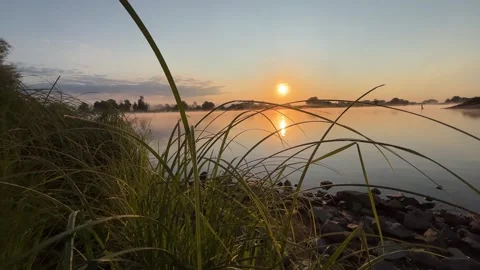 Rocky River Shore with Tall Grass at Sunrise Video stock 342317023