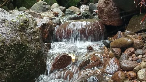 Rocky River Stream Flowing Naturally in Tropical Forest – Cinematic Footage Stock Footage 329778187