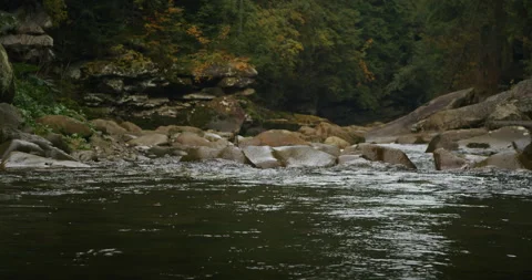 Rocky river stream flowing through a forest in autumn. Nature and wilderness Stock Footage 265003796