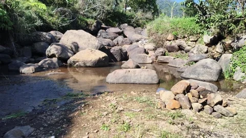 Rocky river stream flowing through natural landscape outdoors 스톡 동영상 346983542