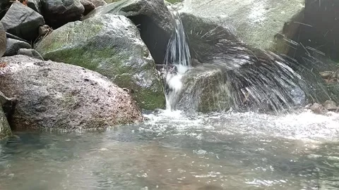 Rocky River Stream with Flowing Water in Natural Forest Environment Stock Footage 330543880