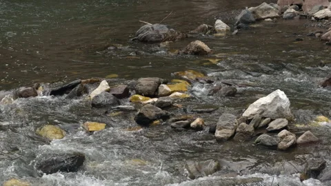Rocky River Stream With Flowing Water Stock Footage 335254567